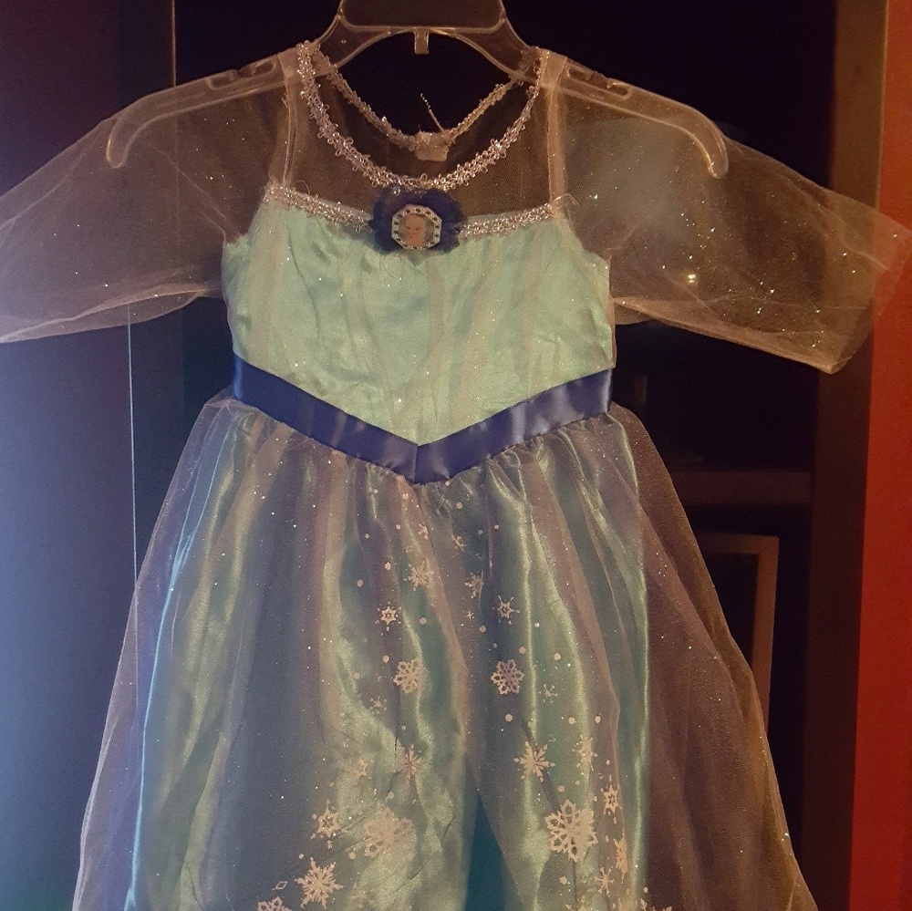 Disney Costume (from Fozen)