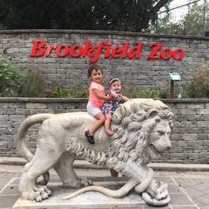 Meet your Posher, Elissa