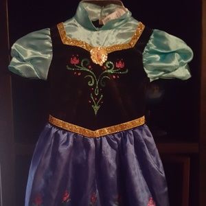 Disney Costume (from FROZEN)