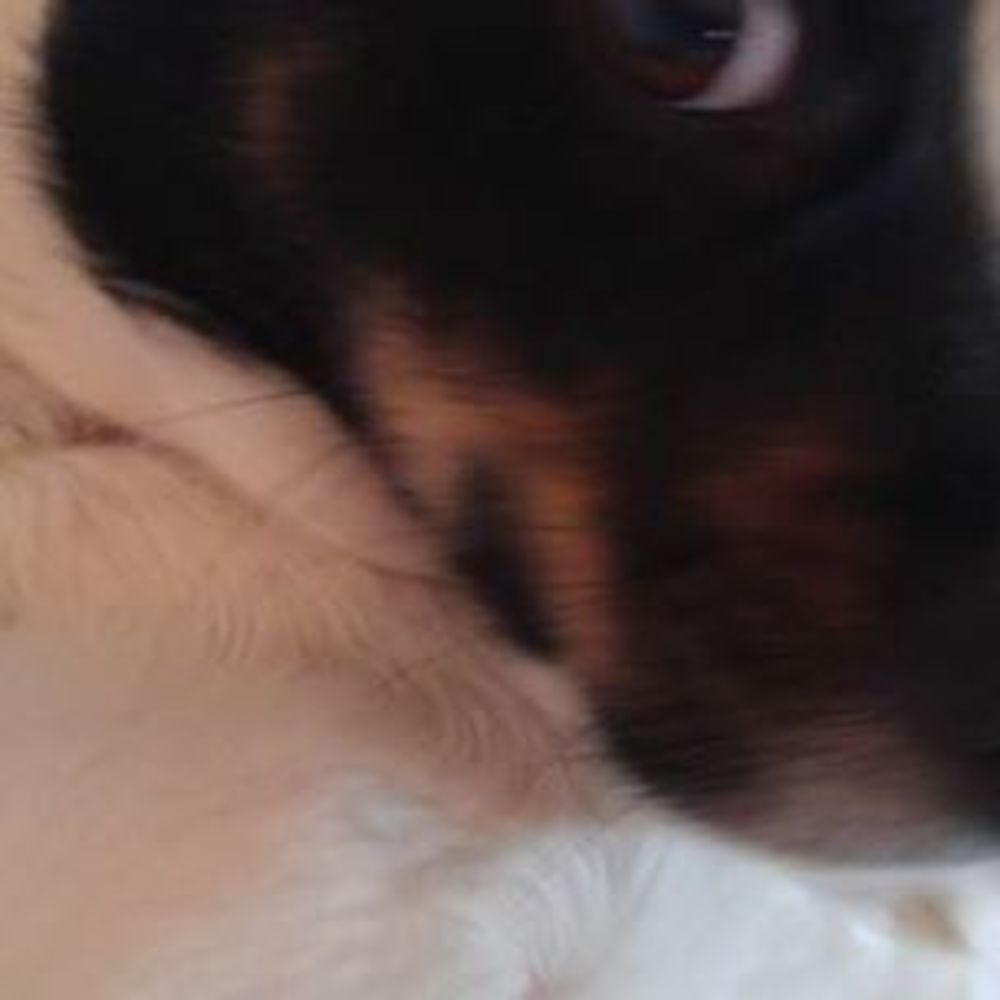 Meet your Posher, Julie