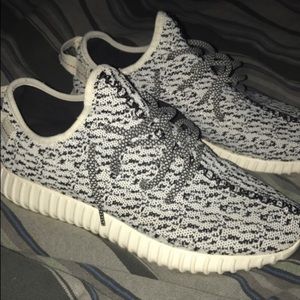 UA turtle doves