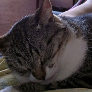 Meet your Posher, Nancy