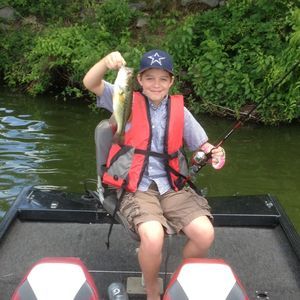 Meet your Posher, Wade