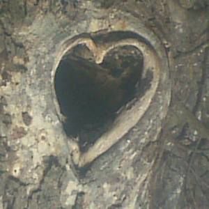 Meet your Posher, Rafael