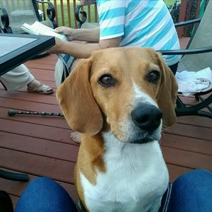 Meet your Posher, Sandy