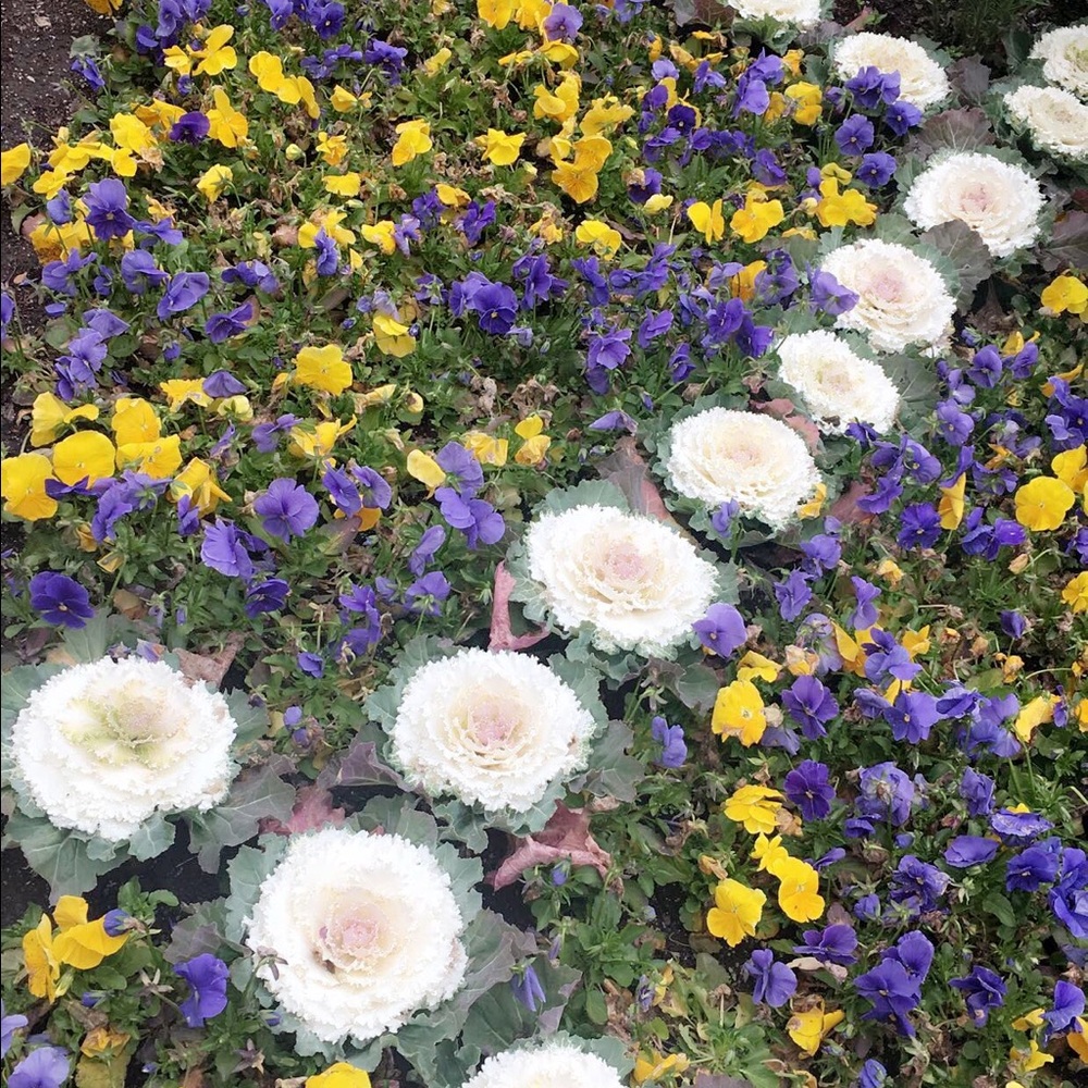 Meet your Posher, Lala