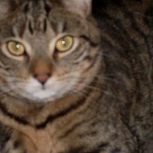 Meet your Posher, Denise