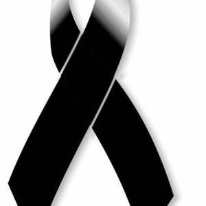 Meet your Posher, Olga