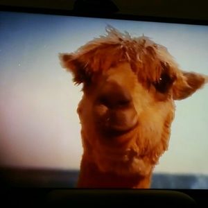 Meet your Posher, Erik