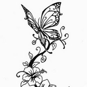 Meet your Posher, Kat-n-bz