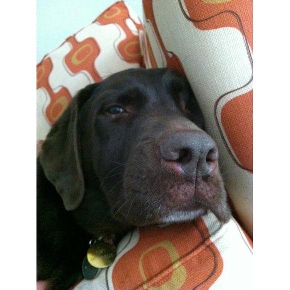 For Toby. ♥️ - Picture 5 of 8