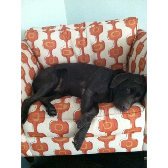 For Toby. ♥️ - Picture 2 of 8