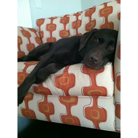 For Toby. ♥️ - Picture 3 of 8