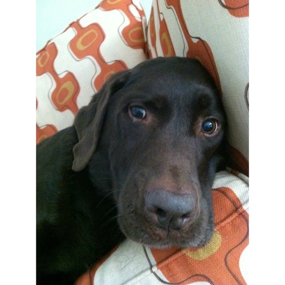 For Toby. ♥️ - Picture 4 of 8