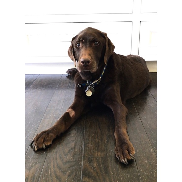 For Toby. ♥️ - Picture 6 of 8