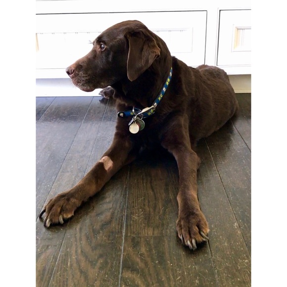 For Toby. ♥️ - Picture 7 of 8