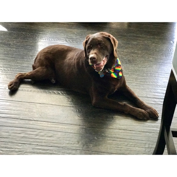 For Toby. ♥️ - Picture 8 of 8