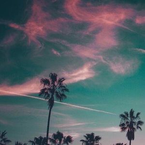 Meet your Posher, Lj