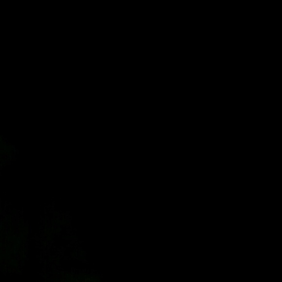 Meet your Posher, Jack - Picture 1 of 1