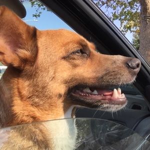 Meet your Posher, Tina