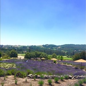 Meet your Posher, Chiqui