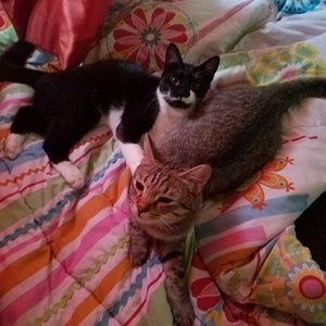 Meet your Posher, Chris