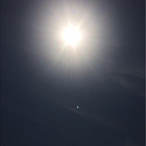 Meet your Posher, Netsa