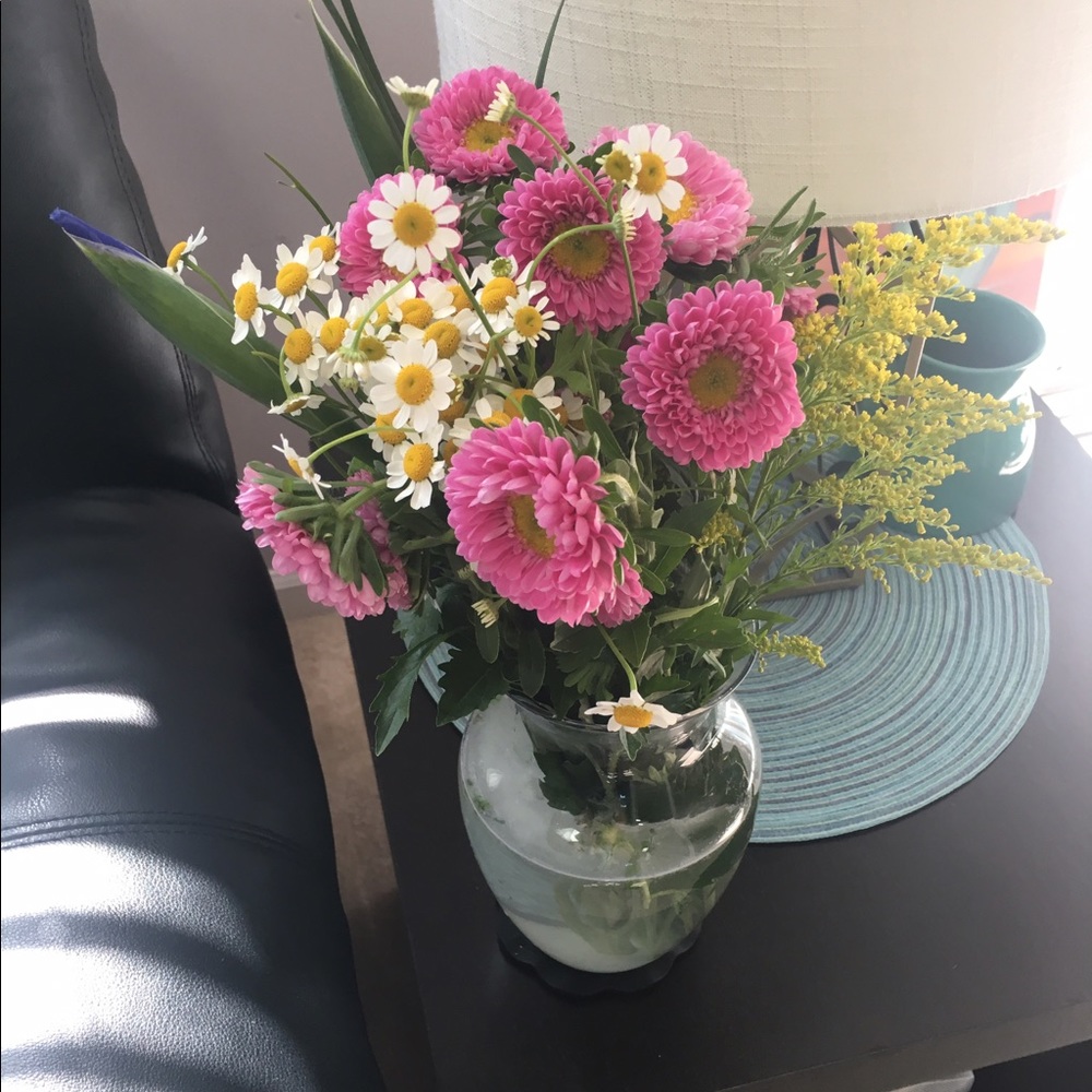 Meet your Posher, Sarah