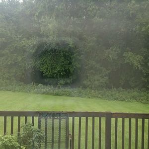 Meet your Posher, Novalee