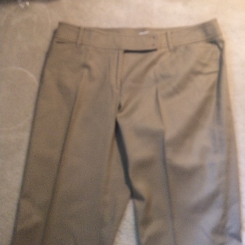 Loft Marisa Capri pants