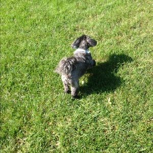 Meet your Posher, Ellie