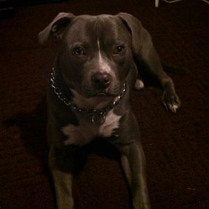 Meet your Posher, Tavarus