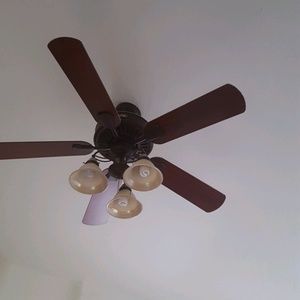 Meet your Posher, Traci