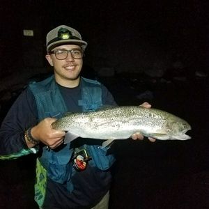 Meet your Posher, Jackson