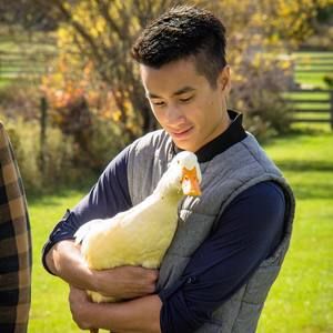 Meet your Posher, Joe