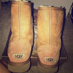 Classic Short Uggs Chestnut