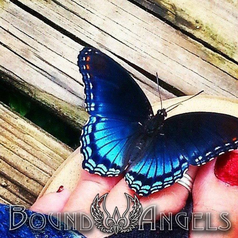 Meet your Posher, Kym