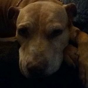 Meet your Posher, Suzanne