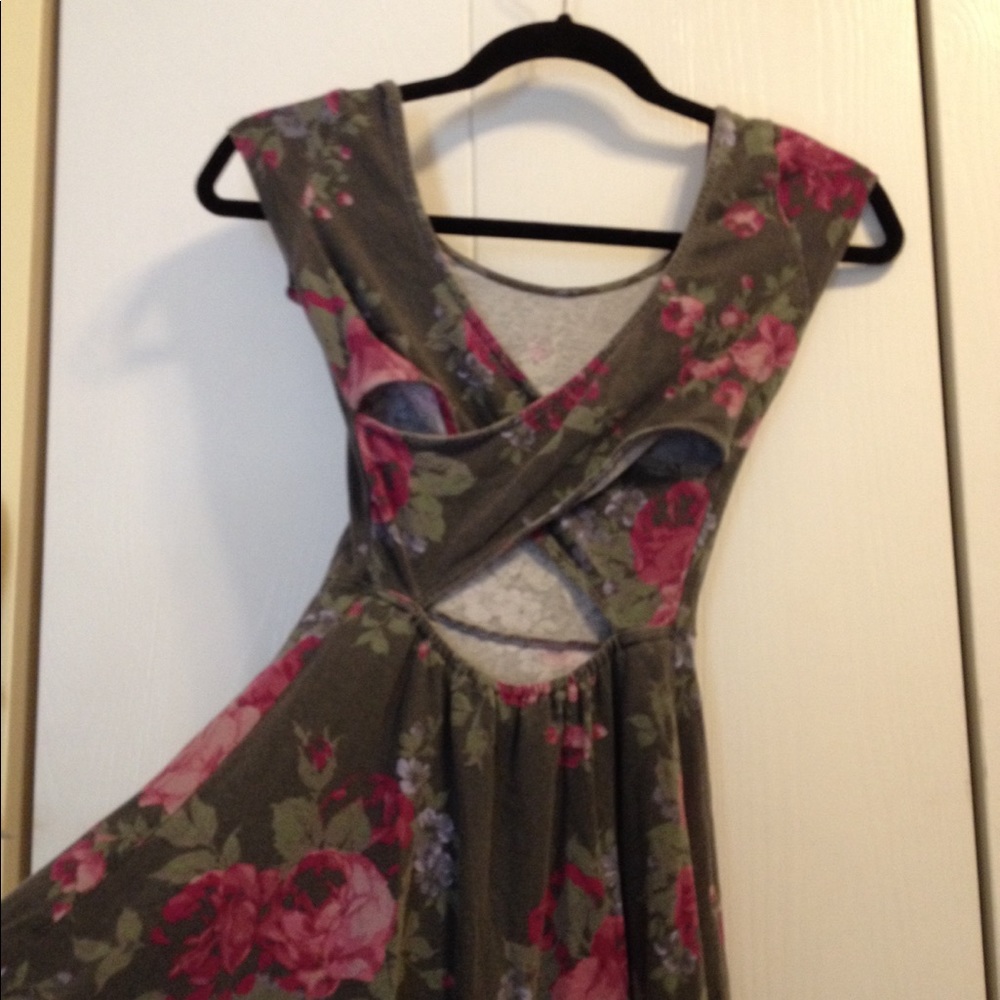 American Eagle Outfitters Floral Rose Dress