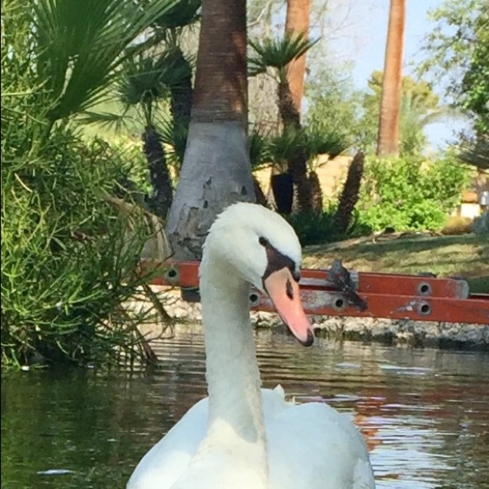 GREETINGS !  WELCOME TO MY CLOSET - @vaikas  #vaikasonposhmark