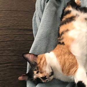 Meet your Posher, Jared