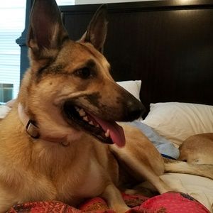 Meet your Posher, Mathieu