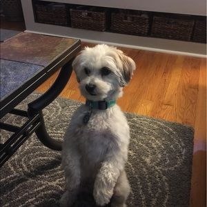 Meet your Posher, Stacy