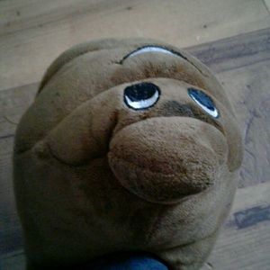 Meet your Posher, Latisha