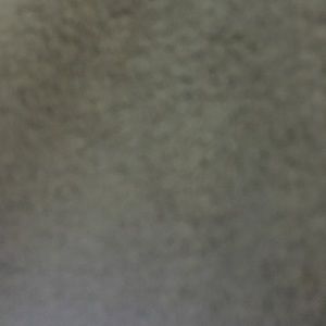 Meet your Posher, Tamasia