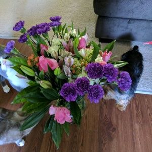 Meet your Posher, Cheryl