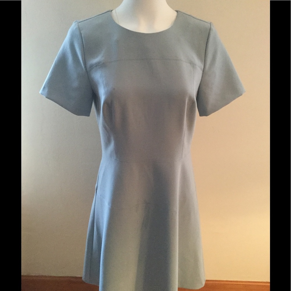 Ann Taylor Pistachio Green Fit And Flare Dress