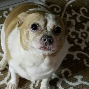 Meet your Posher, Sherry