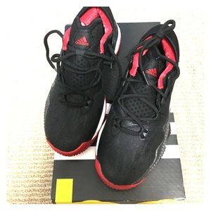 NEW CRAZYLIGHT ULTRABOOST LOW