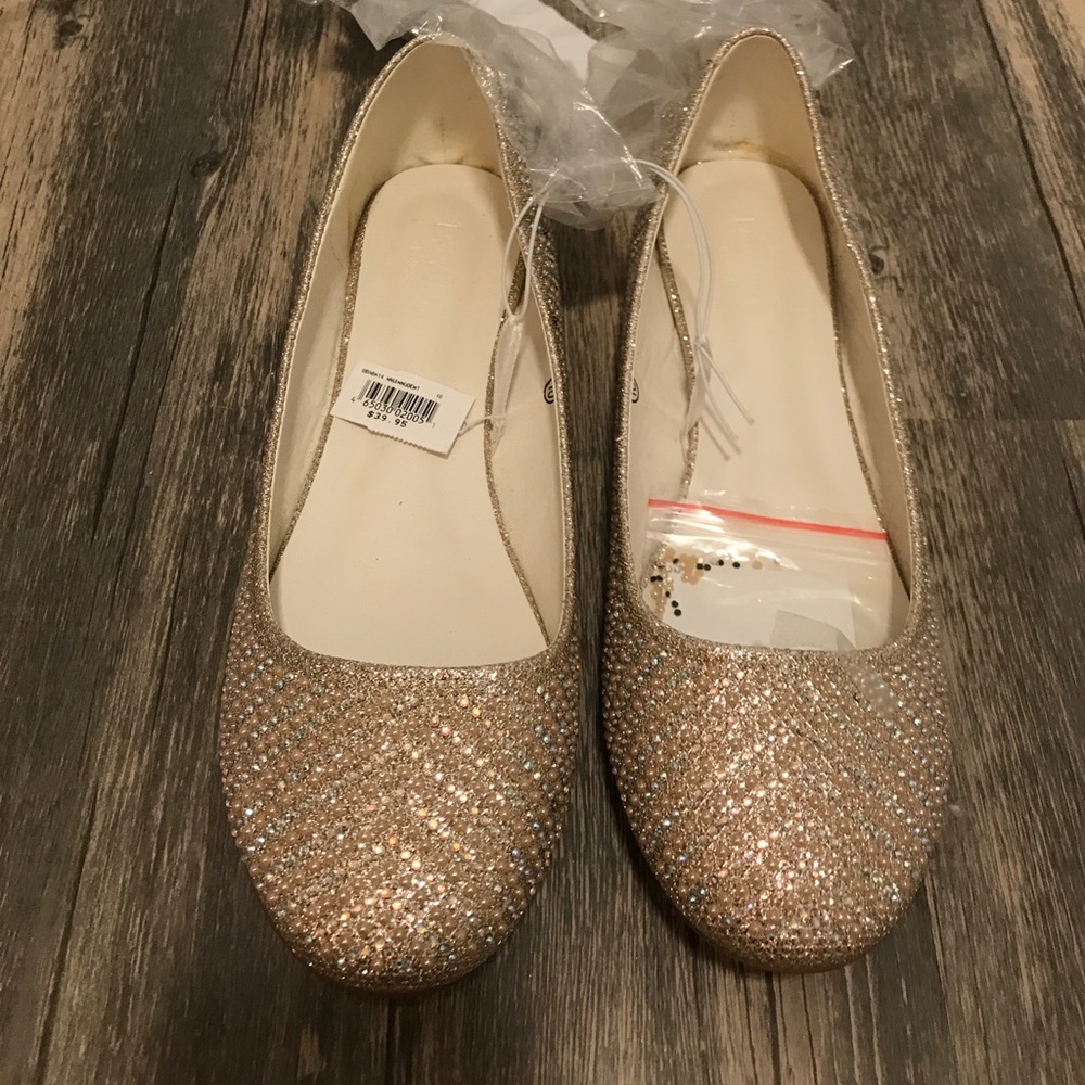 NWT Ballet Flat!